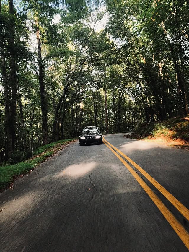 Forest Drive