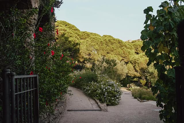 Botanical Gardens